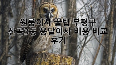 원룸이사 꿀팁🍯: 부평구 산곡3동 용달이사 비용 비교 & 후기